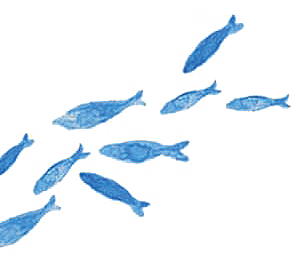 公式 出産祝い 名入れができるオーガニックベビー服ブランド Haruulala ハルウララ