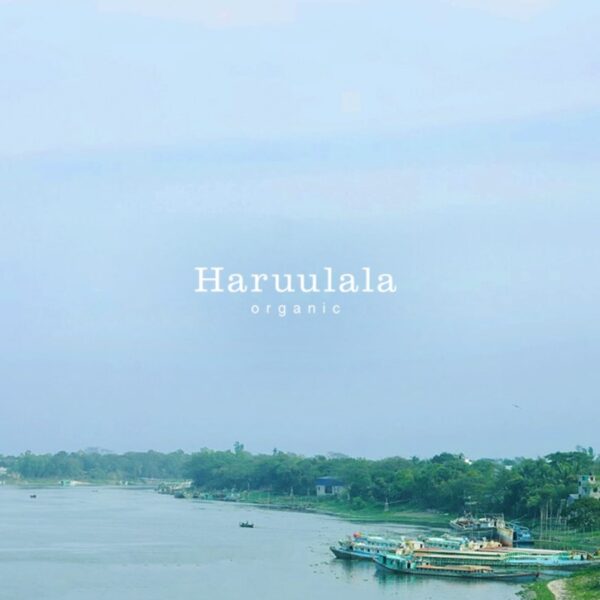 世界環境デー2025プロジェクト植林の様子